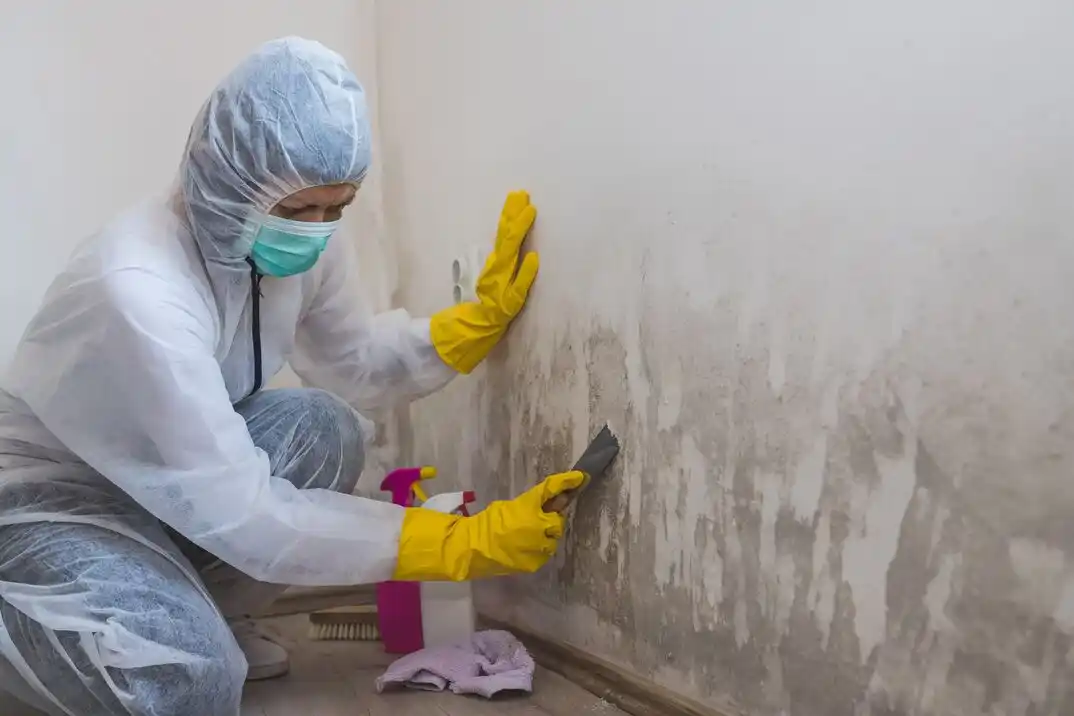 water damage restoration service Swissvale